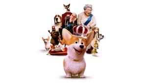 The Queen’s Corgi 2019