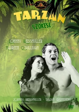 Image Tarzan szökése