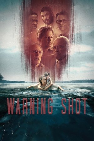 Warning Shot Warning Shot