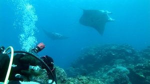 Journeys in Japan: 12×12