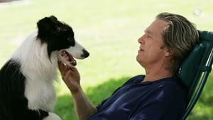 Pet Therapy – Un Cane per Amico (2009)