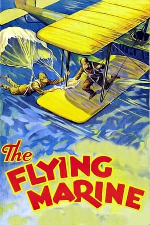 Poster The Flying Marine 1929