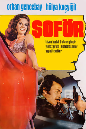 Poster Şoför 1976