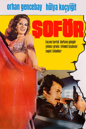 Image Şoför