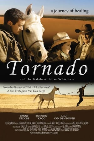 Image Tornado - L'étalon du désert