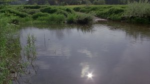 Image The Danube