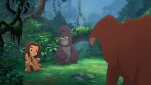 فيلم كرتون طرزان 2 – Tarzan II مدبلج لهجة مصرية