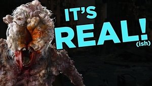 How The Last of Us's Fungal Invasion is Already Happening