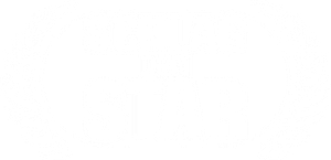 Schlag den Star — Logos 1