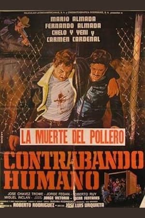 Poster Contrabando Humano (1982)