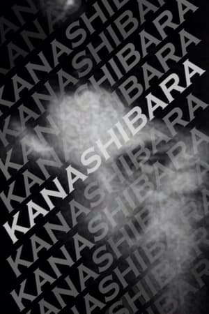 Poster Kanashibara 2007