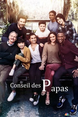 Conseil des papas movie poster