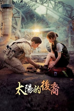 Poster 太阳的后裔 2016