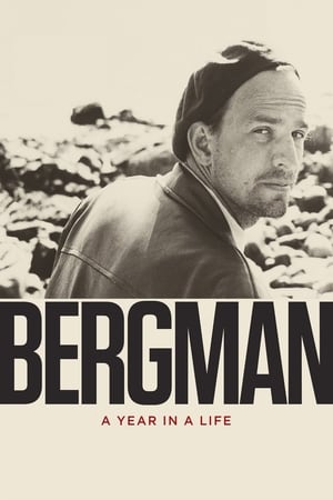 Bergman: A Year in a Life (2018) | Team Personality Map