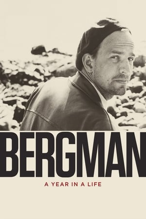 Image Bergman: A Year in a Life