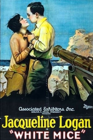 Poster White Mice 1926