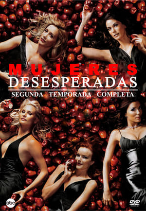 Mujeres desesperadas: Temporada 2