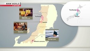 Journeys in Japan: 14×9