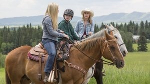 Heartland – Paradies für Pferde: 6×6