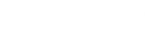Vigarista Profissional — Logos 6