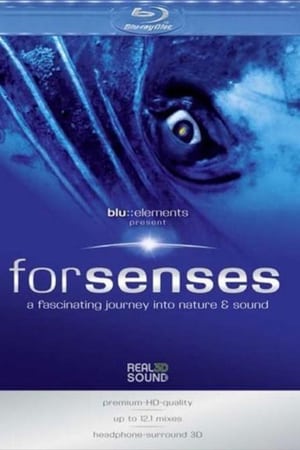 Forsenses：Blu Elements (2009)