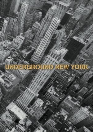 Underground New York film complet