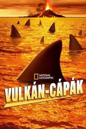 Sharkcano 17