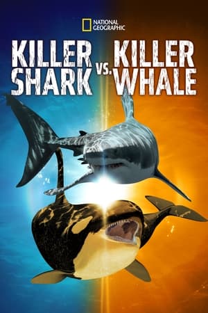 Poster Killer Shark Vs. Killer Whale 2021
