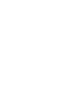 Moon, 66 questions — Logos 8
