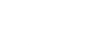Sinhá Moça — Logos 2