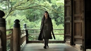 The Assassin (2015)