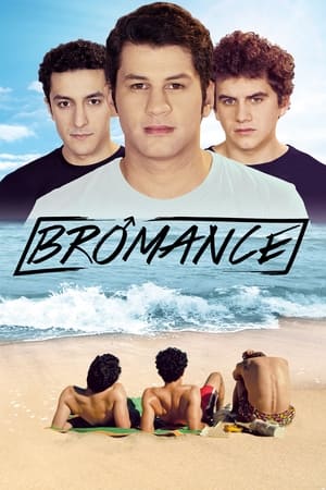 Poster Bromance 2016