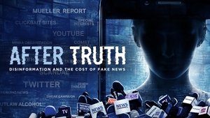 After Truth: Disinformation and the Cost of Fake News 2020