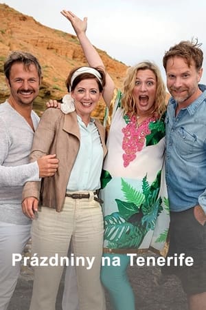 Poster Ein Ferienhaus auf Teneriffa (2019)