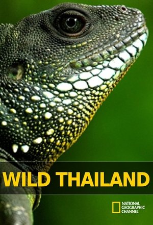 Image Wild Thailand