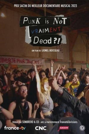 Poster Punk is not vraiment dead ?! (2023)