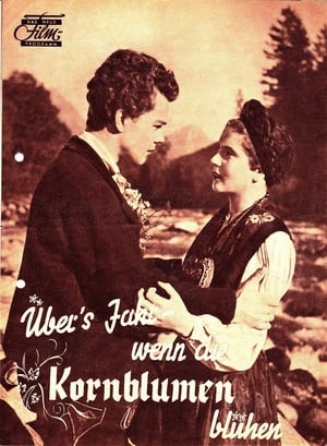 Poster Übers Jahr, wenn die Kornblumen blühen (1947)