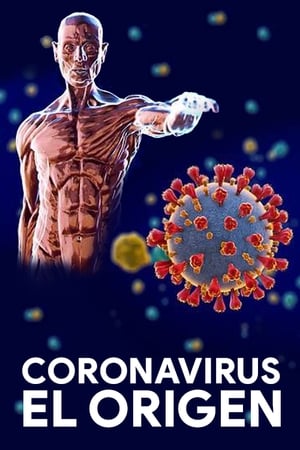 Image Coronavirus: El origen