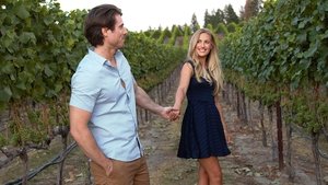 A Vineyard Romance (2021)