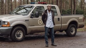 Stand Your Ground (2025)