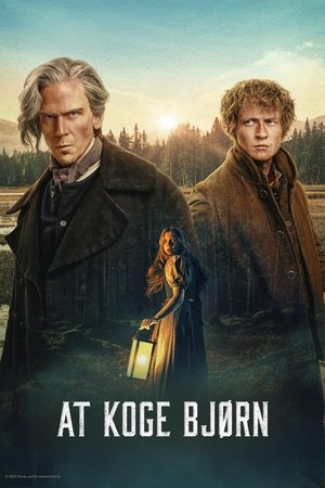 Image At koge bjørn