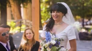 Image Adam Ruins Weddings