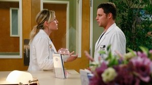 Grey’s Anatomy: Stagione 11 x Episodio 20