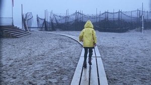 Yify A Day at the Beach 1970