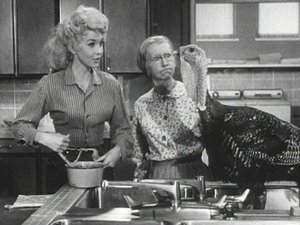 The Beverly Hillbillies Season 2 Episode 10