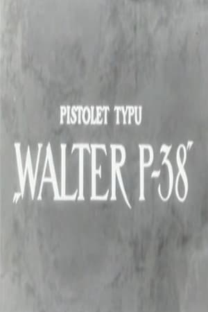 Pistolet typu 