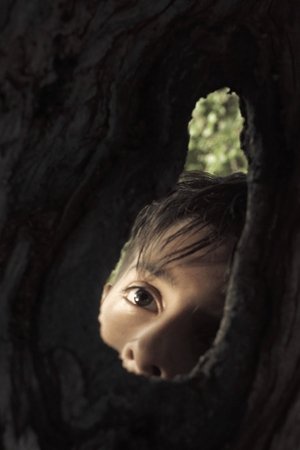 Nonton film Finding fireflies (2023) terbaru sub indo Nonton film Finding fireflies (2023) terbaru sub indo