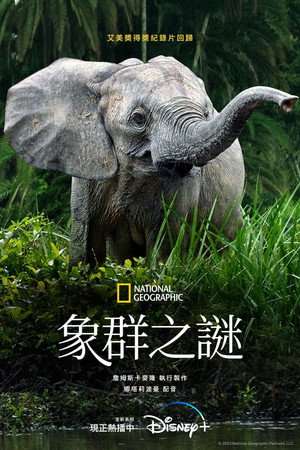 象群之謎