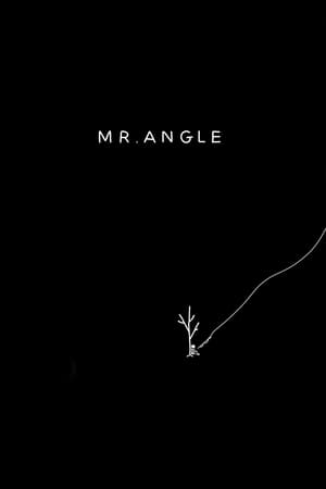 Mr. Angle