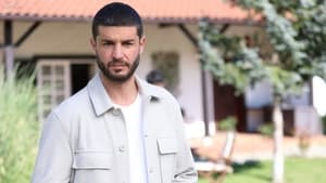 Bir Küçük Gün Işığı: 1×34